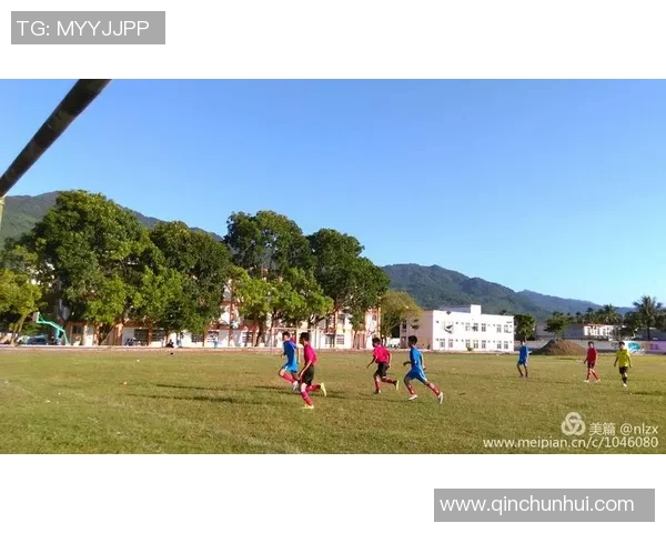 桑兰的坚韧人生与体育精神的传承之路