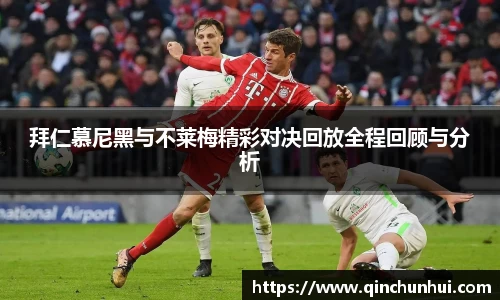 zbo智博手机下载